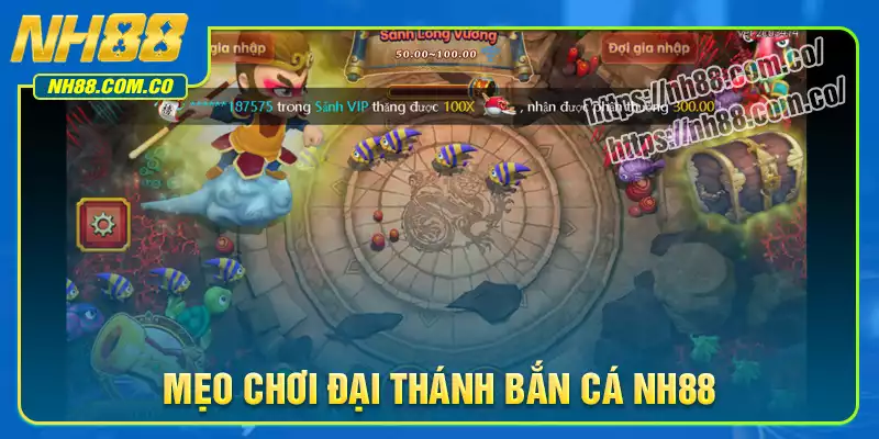 Mẹo chơi đại thánh bắn cá NH88 thắng lớn Mẹo chơi đại thánh bắn cá NH88 thắng lớn